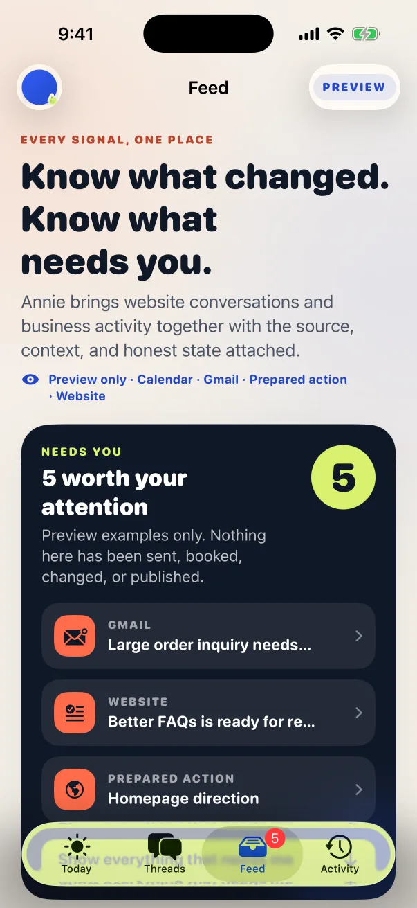 TryDesk iPhone Preview showing a business Feed and five example items needing attention